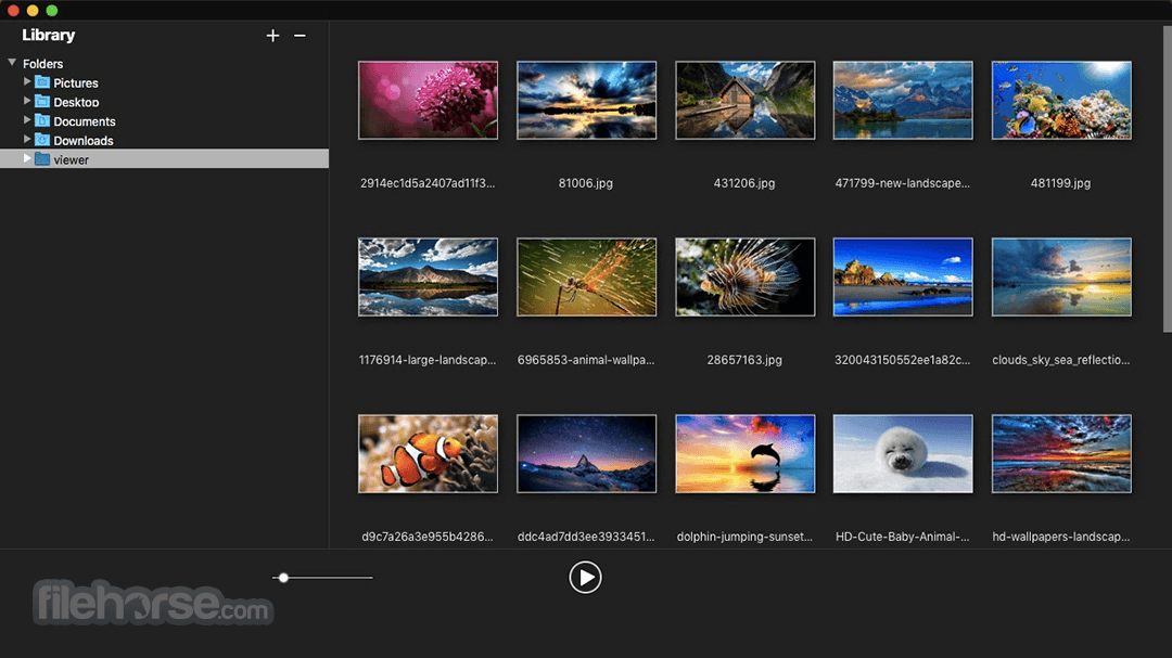 Canon image browser windows 10